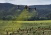 España | Los drones ganan terreno en los tratamientos fitosanitarios del viñedo España | Los drones ganan terreno en los tratamientos fitosanitarios del viñedo