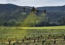 España | Los drones ganan terreno en los tratamientos fitosanitarios del viñedo España | Los drones ganan terreno en los tratamientos fitosanitarios del viñedo