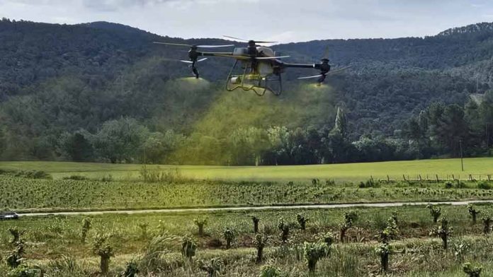 España | Los drones ganan terreno en los tratamientos fitosanitarios del viñedo España | Los drones ganan terreno en los tratamientos fitosanitarios del viñedo