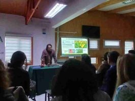 Exitosa jornada sobre plantas medicinales y recursos naturales reunió a comunidad en Magallanes