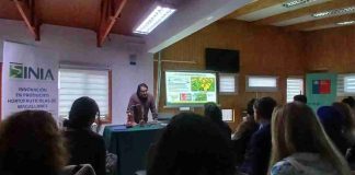 Exitosa jornada sobre plantas medicinales y recursos naturales reunió a comunidad en Magallanes