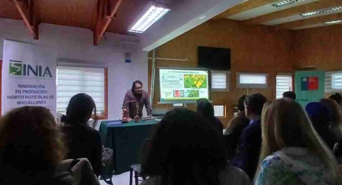 Exitosa jornada sobre plantas medicinales y recursos naturales reunió a comunidad en Magallanes Exitosa jornada sobre plantas medicinales y recursos naturales reunió a comunidad en Magallanes