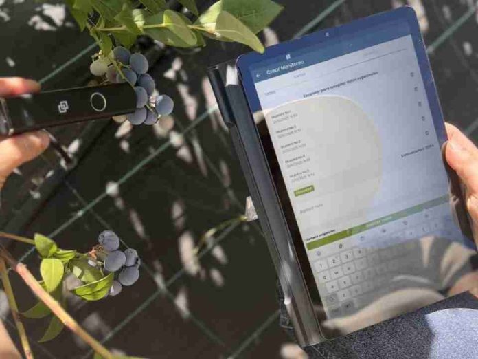 INIA desarrolla innovador “Reporte Digital” para optimizar la calidad y exportación de arándanos chilenos INIA desarrolla innovador “Reporte Digital” para optimizar la calidad y exportación de arándanos chilenos