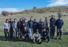 INIA desarrolla jornada práctica de mejoramiento genético ovino con estudiantes en Lago Frío