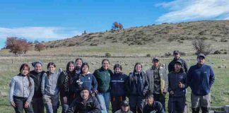 INIA desarrolla jornada práctica de mejoramiento genético ovino con estudiantes en Lago Frío INIA desarrolla jornada práctica de mejoramiento genético ovino con estudiantes en Lago Frío
