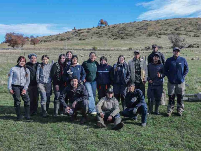 INIA desarrolla jornada práctica de mejoramiento genético ovino con estudiantes en Lago Frío INIA desarrolla jornada práctica de mejoramiento genético ovino con estudiantes en Lago Frío
