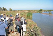 Impulsarán pronósticos de aguas subterráneas en la cuenca del Elqui para fortalecer la gestión hídrica