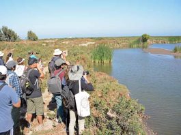 Impulsarán pronósticos de aguas subterráneas en la cuenca del Elqui para fortalecer la gestión hídrica