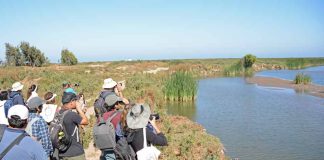 Impulsarán pronósticos de aguas subterráneas en la cuenca del Elqui para fortalecer la gestión hídrica