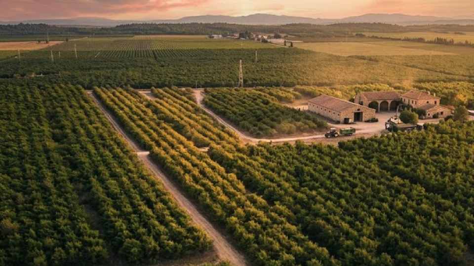 CGR detecta que INDAP entregó beneficios a personas que no cumplían requisitos legales Instituto de Desarrollo Agropecuario INDAP