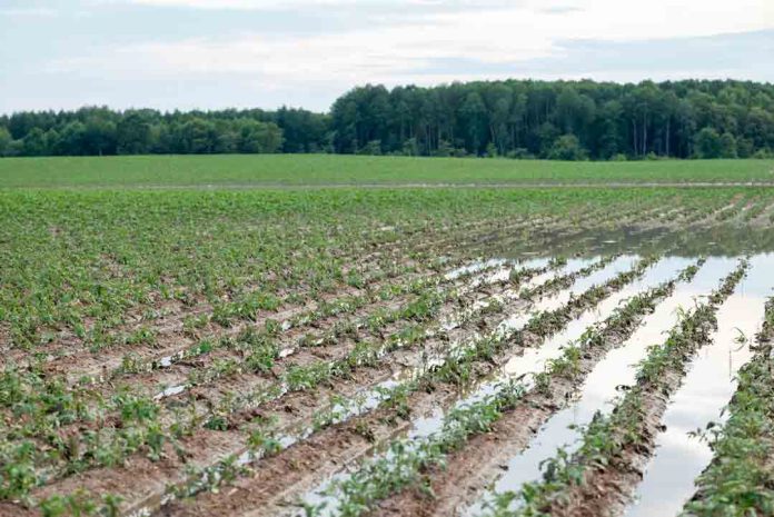Investigación UCT permite anticipar riesgos agrícolas ante eventos climáticos extremos