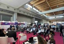 Italia | Fresas 2026: actualización del mercado, variedades y calidad Italia | Fresas 2026: actualización del mercado, variedades y calidad
