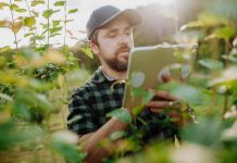 La Agricultura del Futuro: Innovaciones y Desafíos La Agricultura del Futuro: Innovaciones y Desafíos