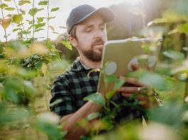 La Agricultura del Futuro: Innovaciones y Desafíos
