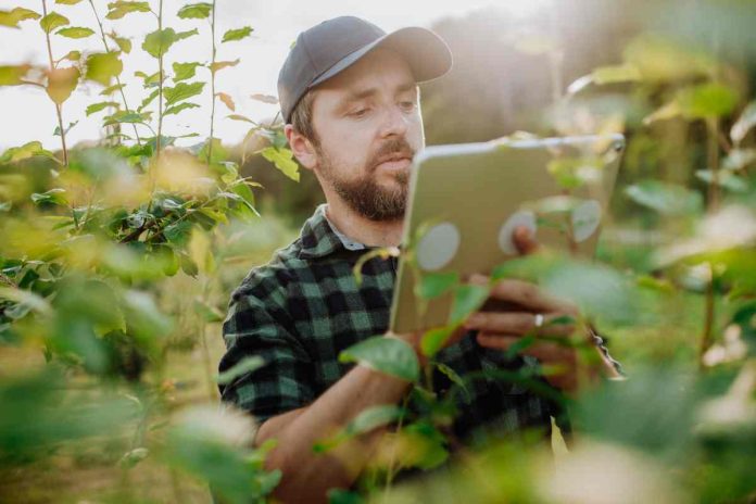 La Agricultura del Futuro: Innovaciones y Desafíos La Agricultura del Futuro: Innovaciones y Desafíos