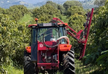La Poda Aragonesa irrumpe en el aguacate y abre un nuevo modelo de manejo