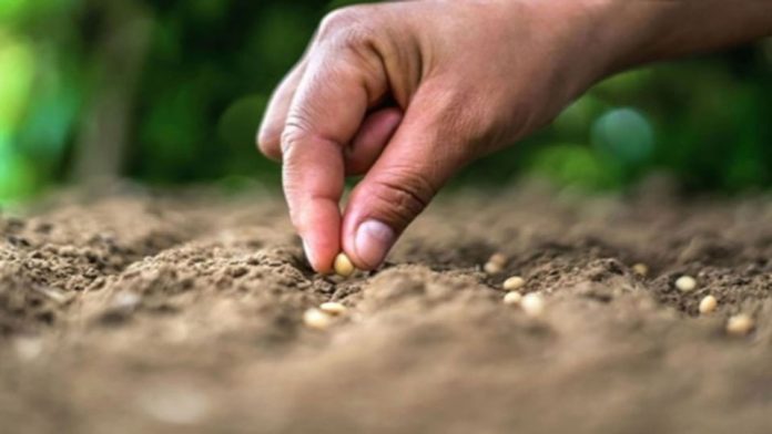 La biodiversidad del suelo es ‘vital’