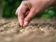 La biodiversidad del suelo es ‘vital’