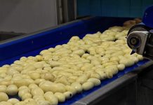 Reportaje | La cuenta invisible de los snacks: producir más con menos agua La cuenta invisible de los snacks: producir más con menos agua