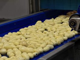La cuenta invisible de los snacks: producir más con menos agua