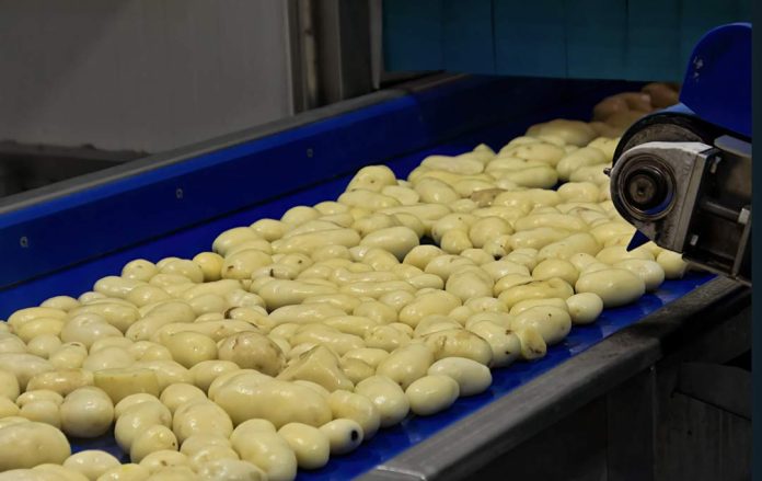 La cuenta invisible de los snacks: producir más con menos agua La cuenta invisible de los snacks: producir más con menos agua