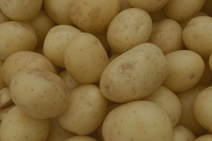 La economía de la captura de valor en las papas