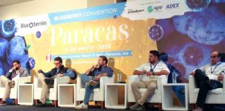 La nueva etapa comercial del arándano en Ica exige más precisión y mejor coordinación