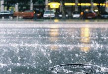 Las lluvias no terminan con la sequía: Biobío ante el desafío climático de “El Niño” Las lluvias no terminan con la sequía Biobío ante el desafío climático de “El Niño”