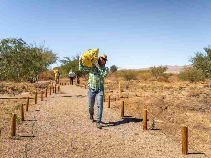 Lomas Bayas y agricultores de Calama celebran nueva cosecha de algarrobo en el Parque Explora