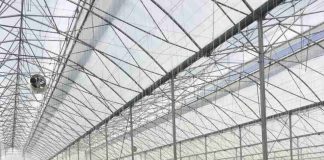 Manejo Integrado de Plagas (MIP) y defensa activa de los cultivos: Arrigoni Group hace frente al reto de las plagas de insectos también en los semilleros hortícolas Manejo Integrado de Plagas (MIP) y defensa activa de los cultivos: Arrigoni Group hace frente al reto de las plagas de insectos también en los semilleros hortícolas