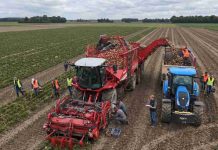 Más de 7.700 hectáreas buscan nuevo destino: cuáles son las alternativas para los agricultores remolacheros