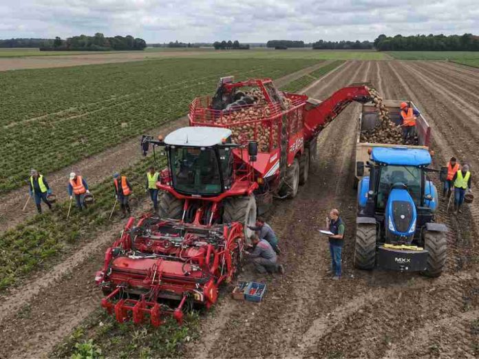 Más de 7.700 hectáreas buscan nuevo destino: cuáles son las alternativas para los agricultores remolacheros