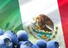 Mexico | Mercado, genética y calidad marcarán la agenda del arándano mexicano en Blueberries México 2026 Mexico Mercado, genética y calidad marcarán la agenda del arándano mexicano en Blueberries México 2026