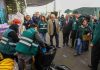 Ministerio de Agricultura encabeza jornada de fiscalización por mosca de la fruta en Mercado Mayorista Lo Valledor