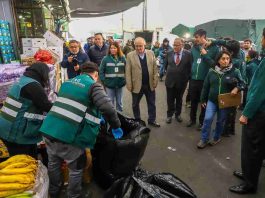 Ministerio de Agricultura encabeza jornada de fiscalización por mosca de la fruta en Mercado Mayorista Lo Valledor