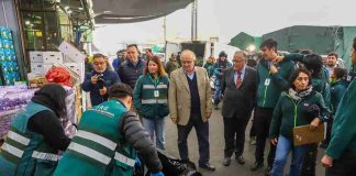 Ministerio de Agricultura encabeza jornada de fiscalización por mosca de la fruta en Mercado Mayorista Lo Valledor