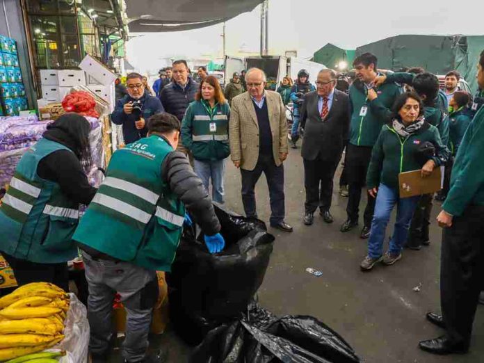 Ministerio de Agricultura encabeza jornada de fiscalización por mosca de la fruta en Mercado Mayorista Lo Valledor Ministerio de Agricultura encabeza jornada de fiscalización por mosca de la fruta en Mercado Mayorista Lo Valledor