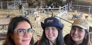 NDAP participó en España en misión de intercambio sobre juventudes rurales y relevo generacional