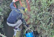 Ñuble da un paso clave en calidad de aguas de riego: monitoreo en Canal Cato y Ñuble supera el 40% de avance Ñuble da un paso clave en calidad de aguas de riego: monitoreo en Canal Cato y Ñuble supera el 40% de avance