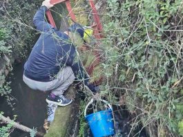 Ñuble da un paso clave en calidad de aguas de riego: monitoreo en Canal Cato y Ñuble supera el 40% de avance