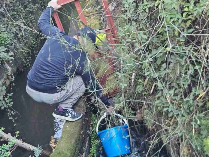 Ñuble da un paso clave en calidad de aguas de riego monitoreo en Canal Cato y Ñuble supera el 40% de avance Ñuble da un paso clave en calidad de aguas de riego: monitoreo en Canal Cato y Ñuble supera el 40% de avance