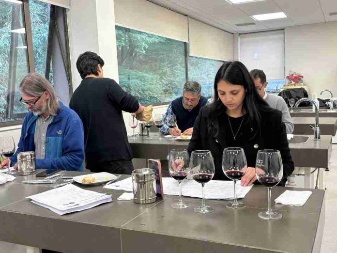 Panel de expertos evaluó estándar de exportación para proyectar vinos del Biobío al mercado global Panel de expertos evaluó estándar de exportación para proyectar vinos del Biobío al mercado global