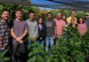 Participa del primer seminario de HoloDroNE: Biotecnología de “super-organismos” para fortalecer la agricultura chilena