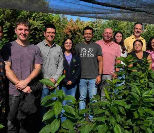 Participa del primer seminario de HoloDroNE: Biotecnología de “super-organismos” para fortalecer la agricultura chilena Participa del primer seminario de HoloDroNE: Biotecnología de “super-organismos” para fortalecer la agricultura chilena