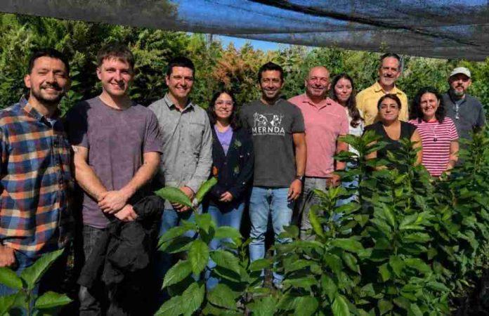 Participa del primer seminario de HoloDroNE Biotecnología de “super-organismos” para fortalecer la agricultura chilena Participa del primer seminario de HoloDroNE: Biotecnología de “super-organismos” para fortalecer la agricultura chilena