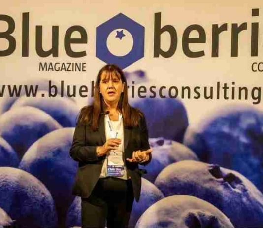 Pilar Bañados: la transformación del arándano chileno exige algo más que nuevas variedades