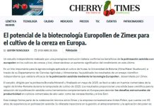 Polinización asistida Europollen, polinización artificial. El potencial de la biotecnología Europollen de Zimex para el cultivo de la cereza en Europa