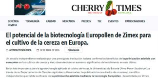 Polinización asistida Europollen, polinización artificial. El potencial de la biotecnología Europollen de Zimex para el cultivo de la cereza en Europa