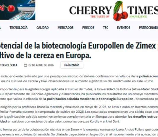 Polinización asistida Europollen, polinización artificial. El potencial de la biotecnología Europollen de Zimex para el cultivo de la cereza en Europa