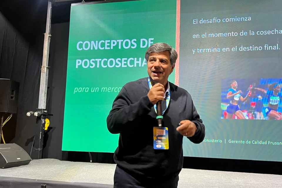 Postcosecha: claves para proteger la calidad de la fruta en toda la cadena exportadora Postcosecha: claves para proteger la calidad de la fruta en toda la cadena exportadora